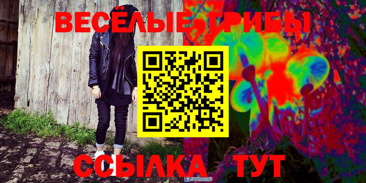 Псилоцибиновые грибы Magic Shrooms Каменск-Уральский